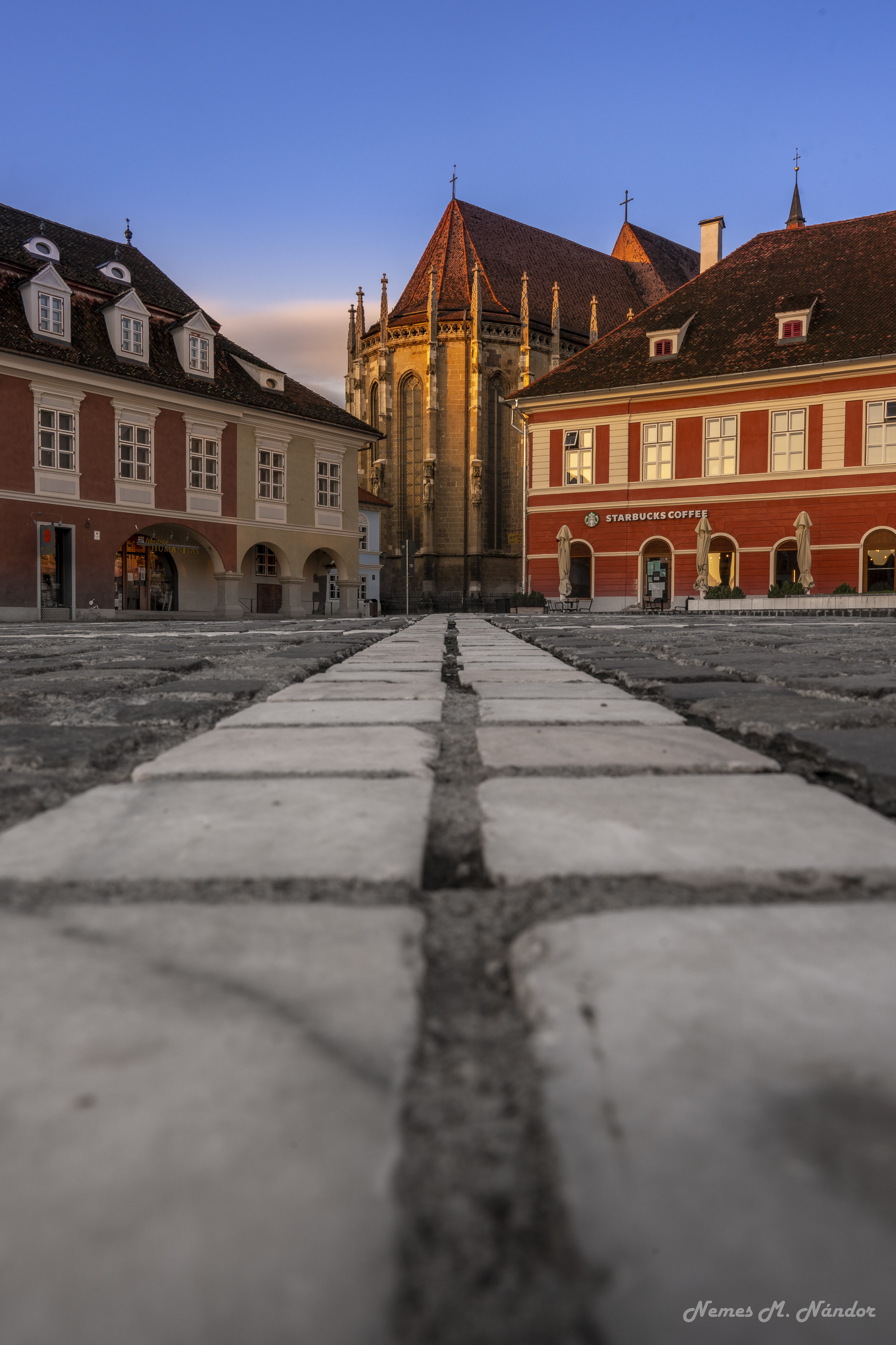 PROJECT - The WildCarpathians