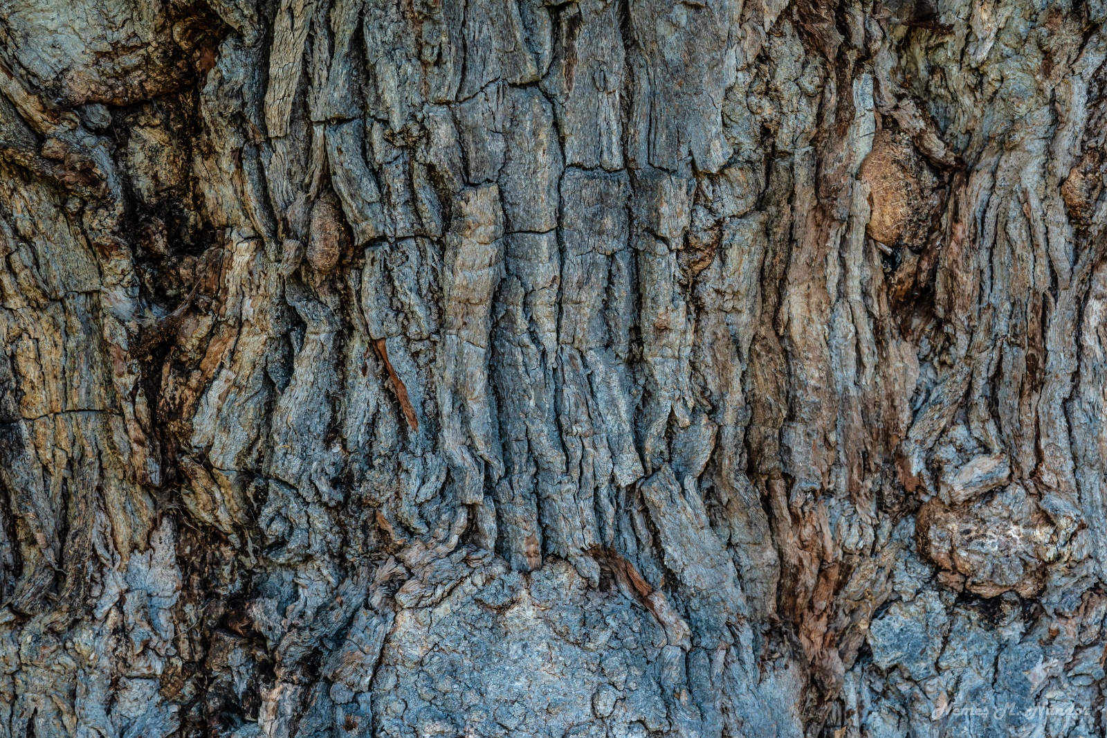 Online Fotó Tanfolyam